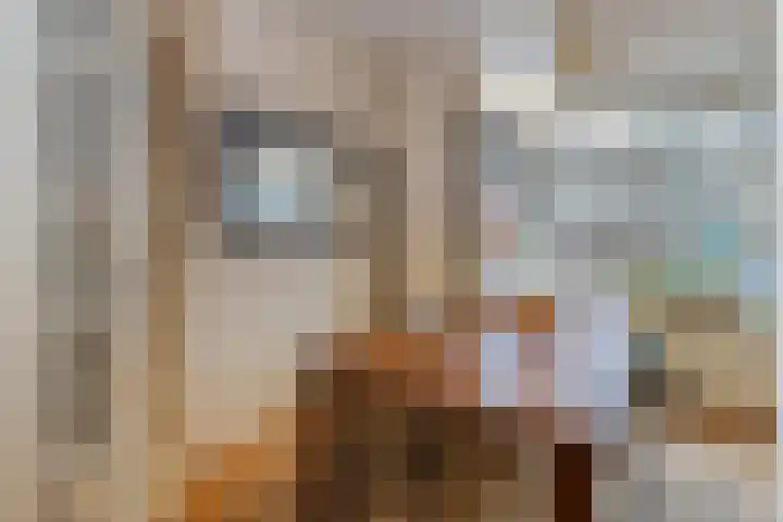 Edelweisslaan 31 Apeldoorn thumbnail 7