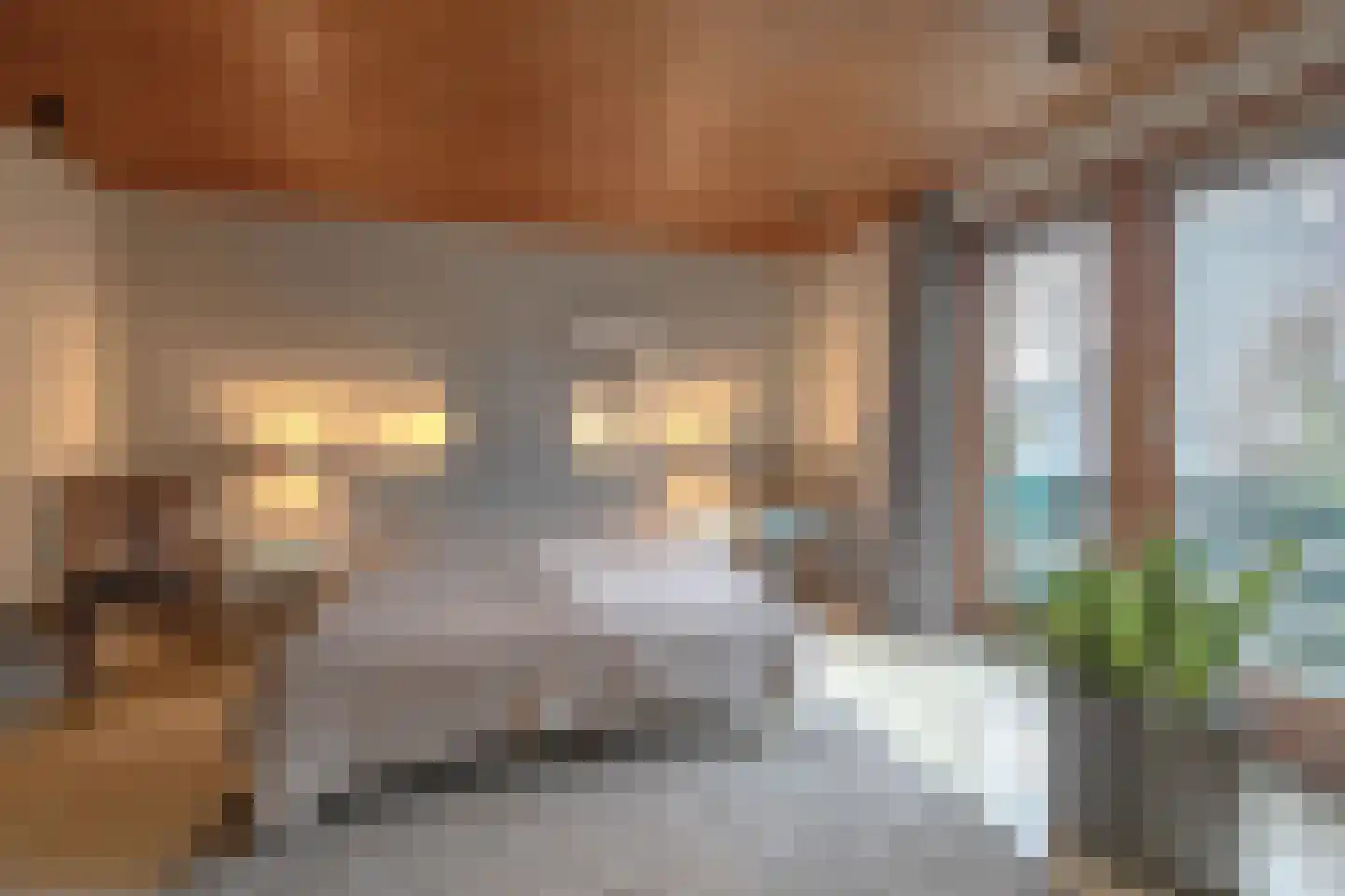 Edelweisslaan 5 Waalre thumbnail 21
