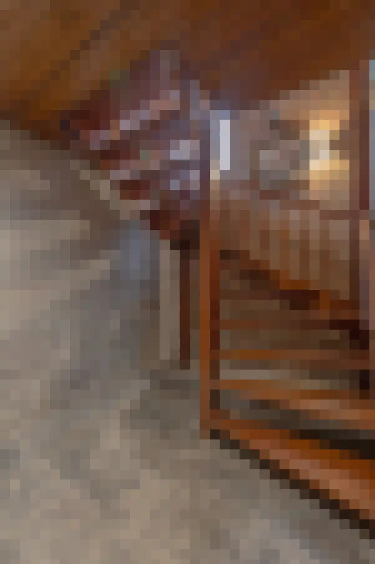 Edelweisslaan 5 Waalre thumbnail 31