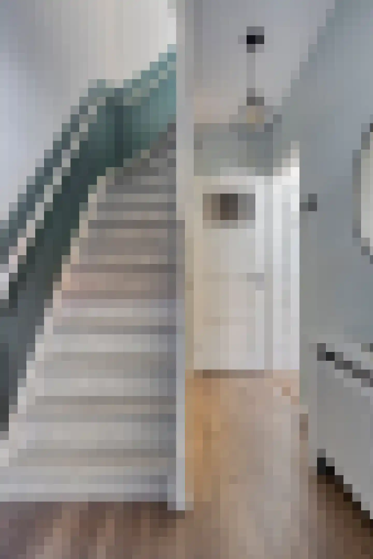 Edelweisstraat 119 Eindhoven thumbnail 14