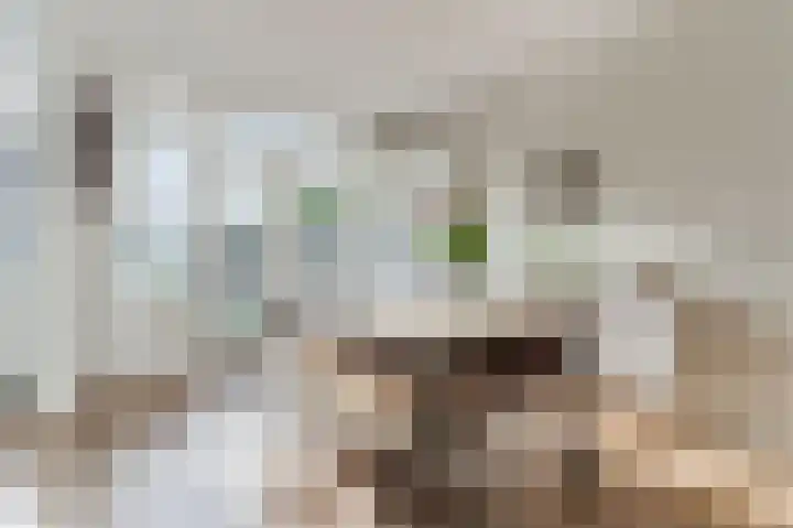 Edelweisstraat 127 Eindhoven thumbnail 9