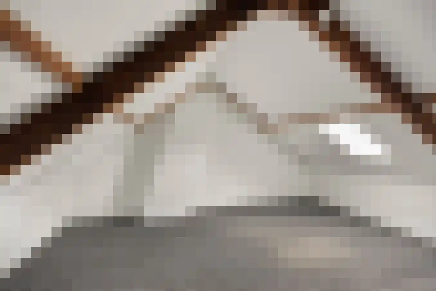 Edelweisstraat 149 Eindhoven thumbnail 21