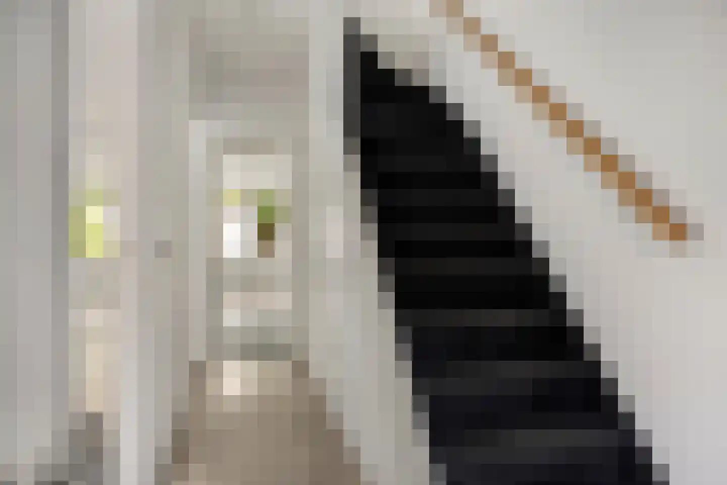 Edelweisstraat 149 Eindhoven thumbnail 4