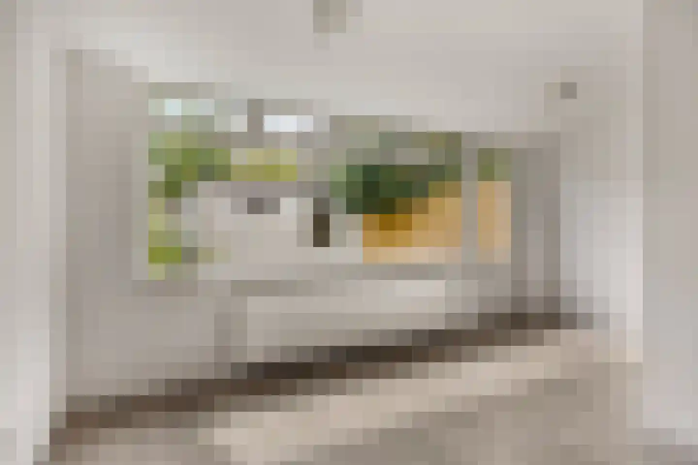 Edelweisstraat 149 Eindhoven thumbnail 7