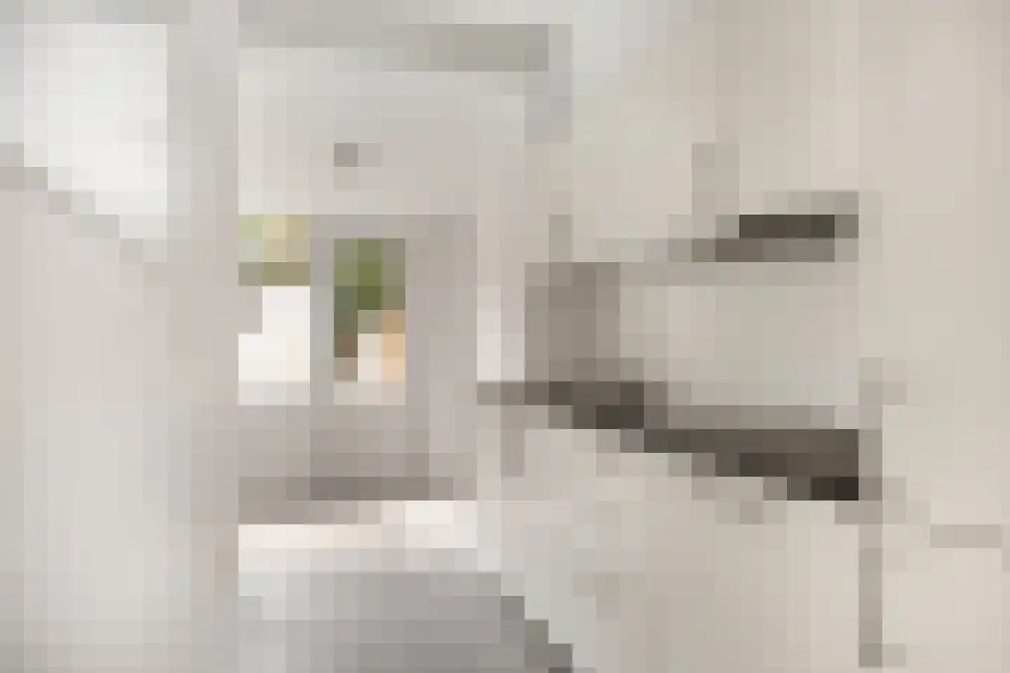 Edelweisstraat 149 Eindhoven thumbnail 9
