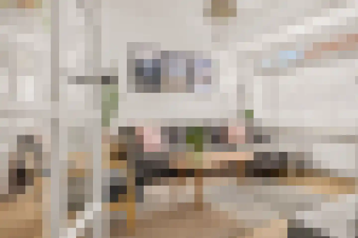 Edelweisstraat 151 Eindhoven thumbnail 10