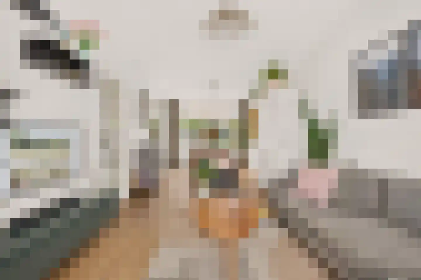 Edelweisstraat 151 Eindhoven thumbnail 13