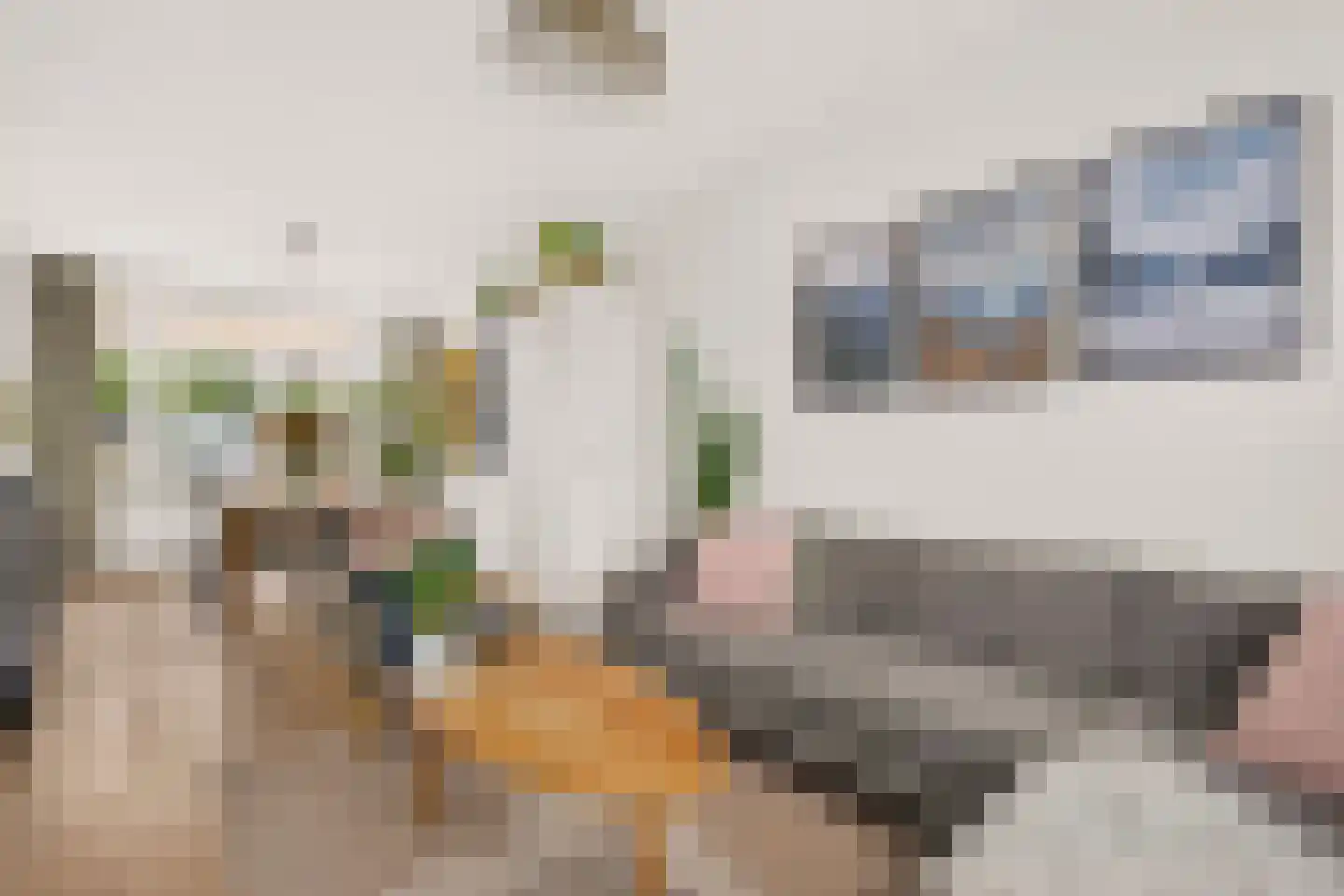Edelweisstraat 151 Eindhoven thumbnail 14