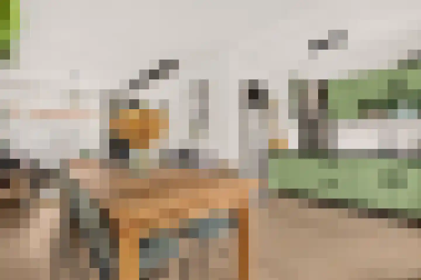 Edelweisstraat 151 Eindhoven thumbnail 17