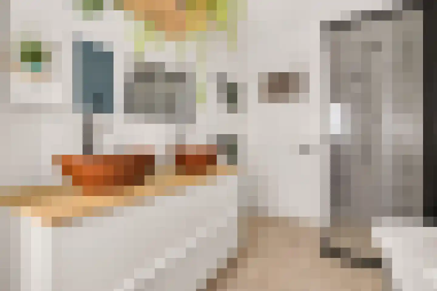 Edelweisstraat 151 Eindhoven thumbnail 30