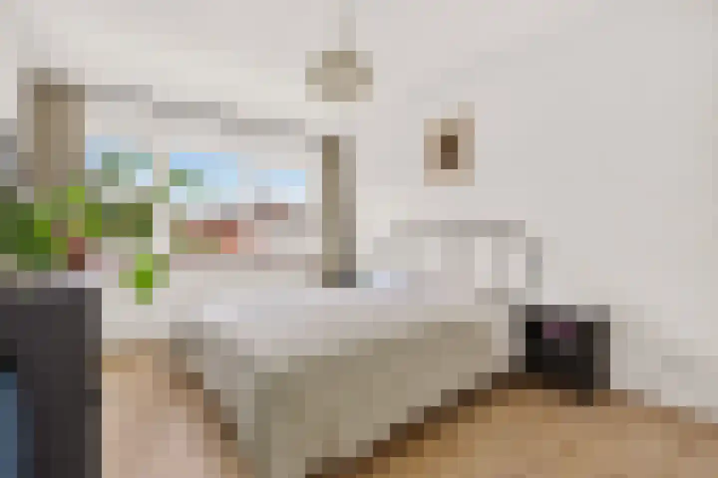Edelweisstraat 151 Eindhoven thumbnail 31