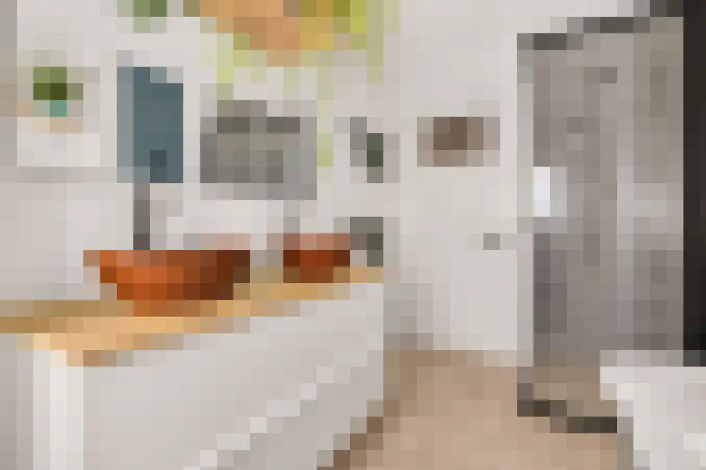 Edelweisstraat 151 Eindhoven thumbnail 6