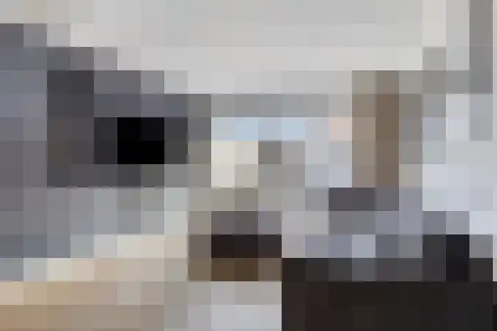 Edelweisstraat 81 Eindhoven thumbnail 12