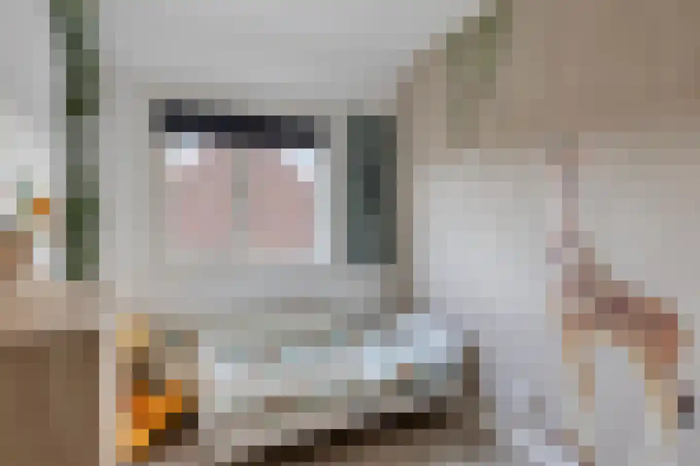 Edelweisstraat 81 Eindhoven thumbnail 17