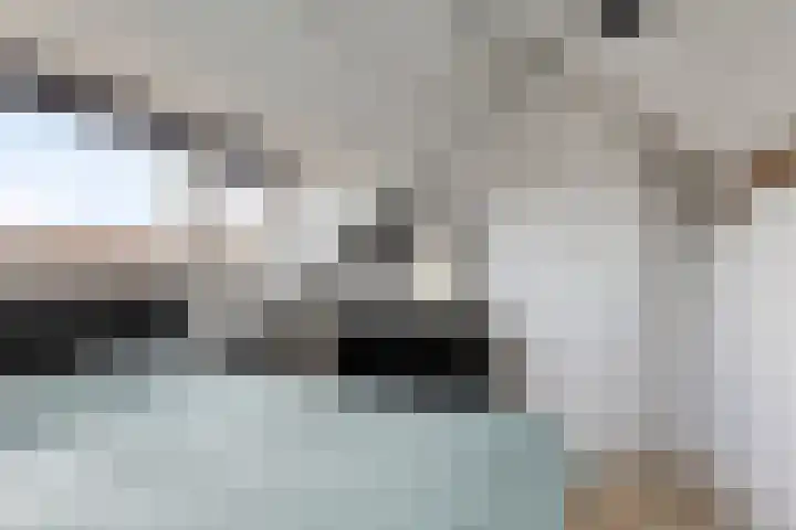 Edelweisstraat 81 Eindhoven thumbnail 24