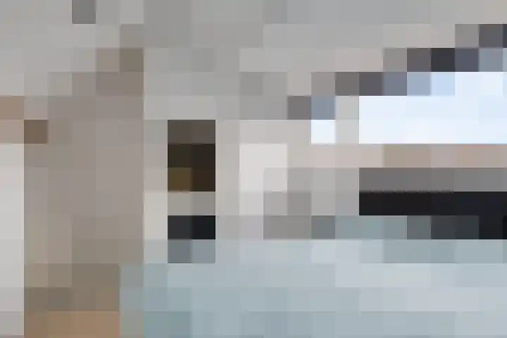 Edelweisstraat 81 Eindhoven thumbnail 25
