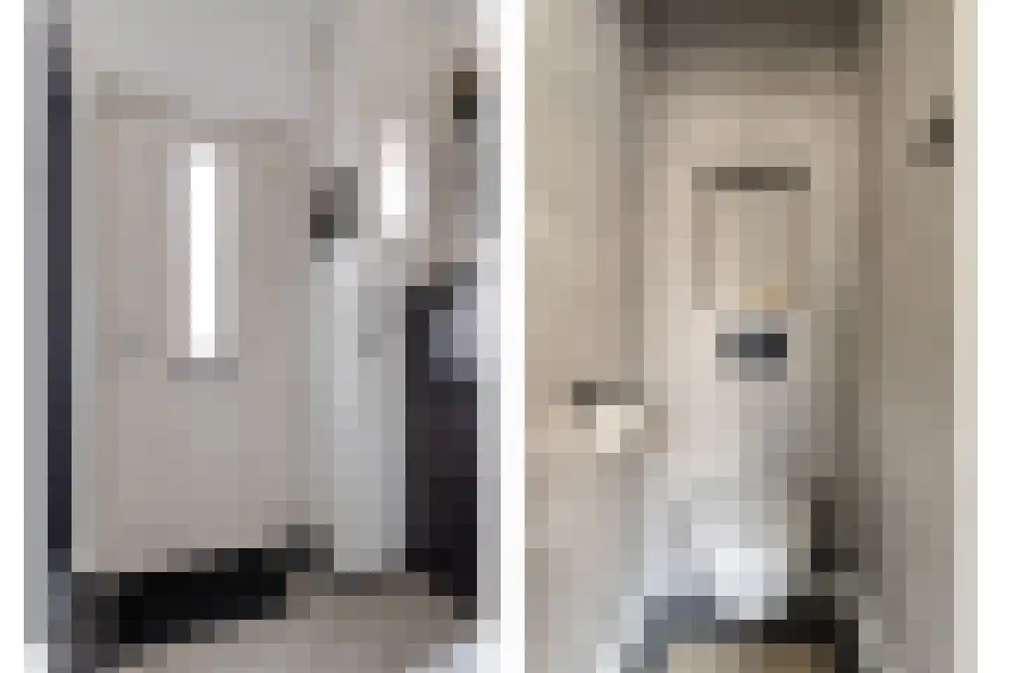 Edelweisstraat 81 Eindhoven thumbnail 6