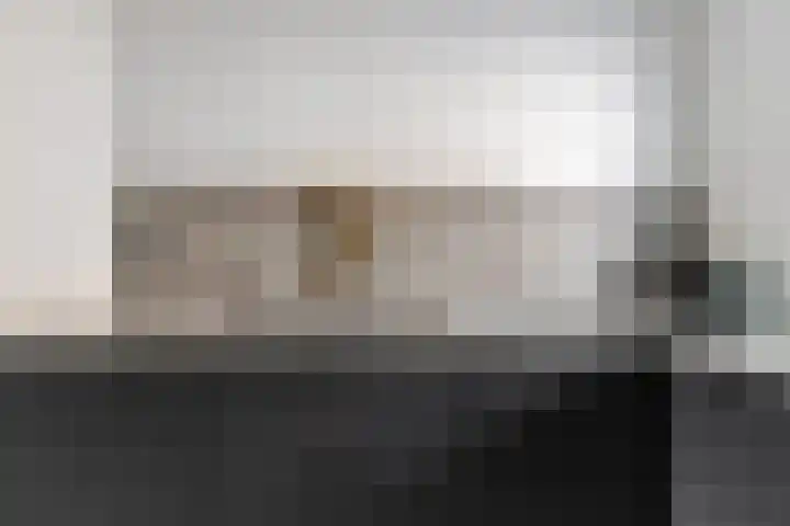 Edelweisstraat 81 Eindhoven thumbnail 9