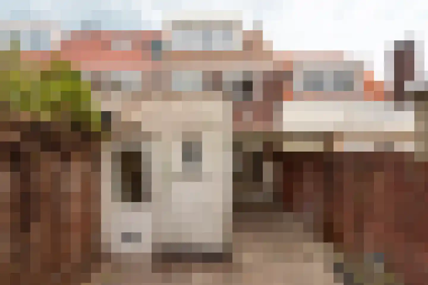 Edelweisstraat 87 Eindhoven thumbnail 22