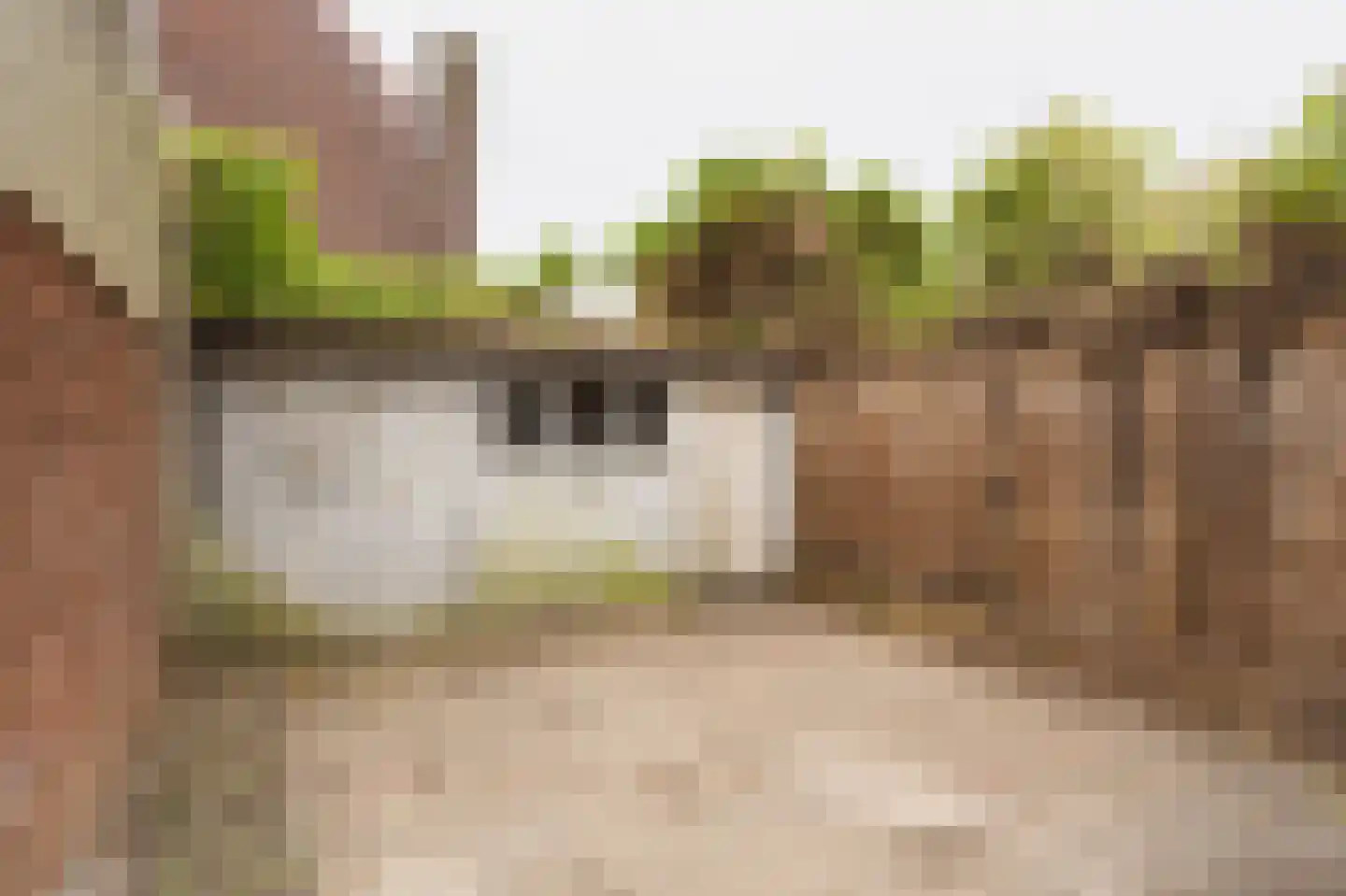 Edelweisstraat 87 Eindhoven thumbnail 25