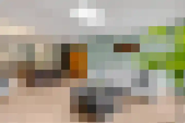 Edendreef 13 Ede thumbnail 4