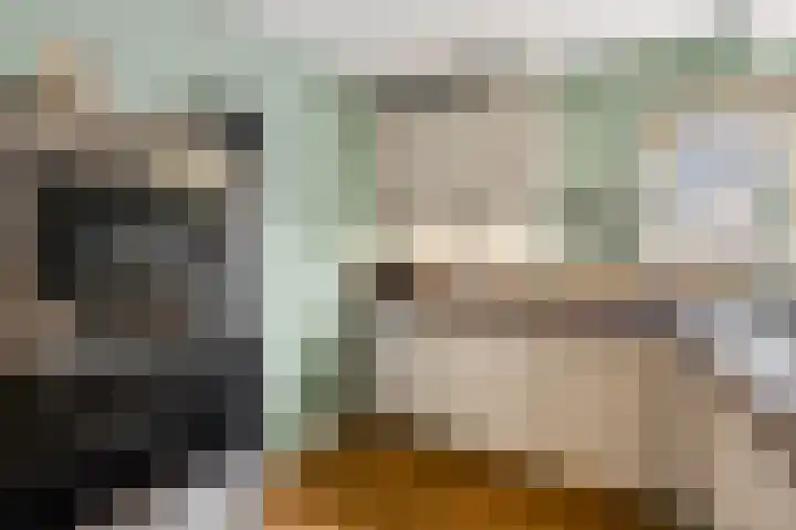 Edendreef 13 Ede thumbnail 9