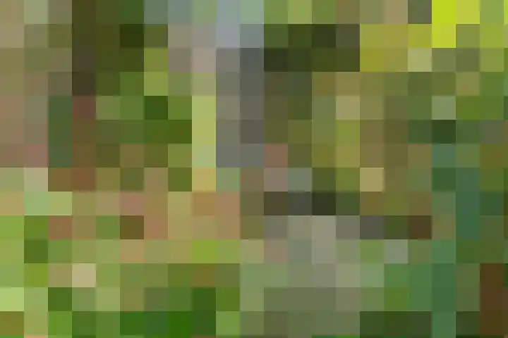 Edendreef 16 Ede thumbnail 16