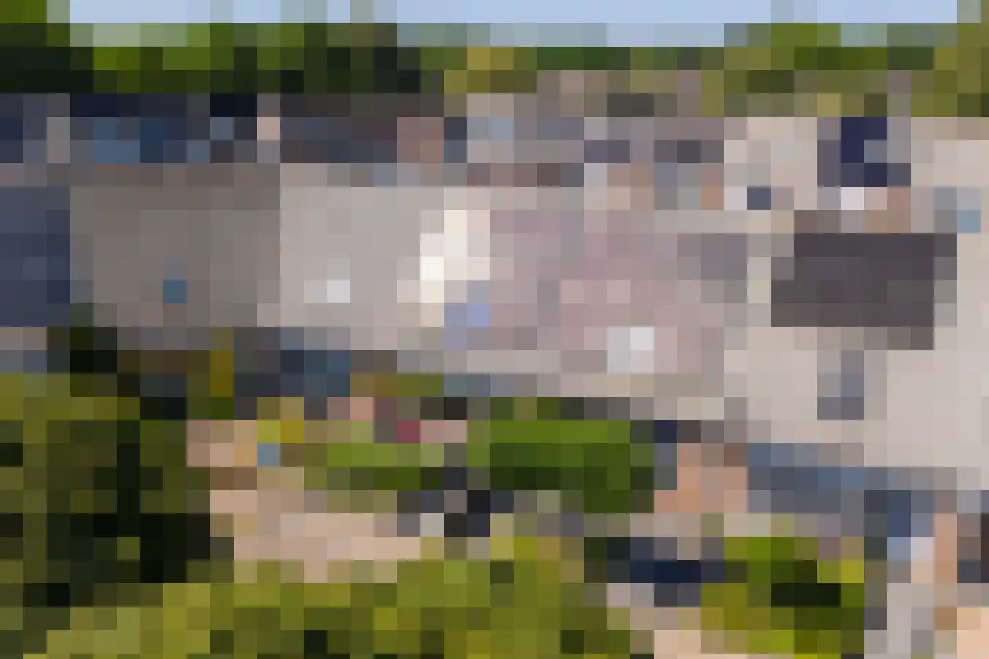 Edendreef 37 Ede thumbnail 43