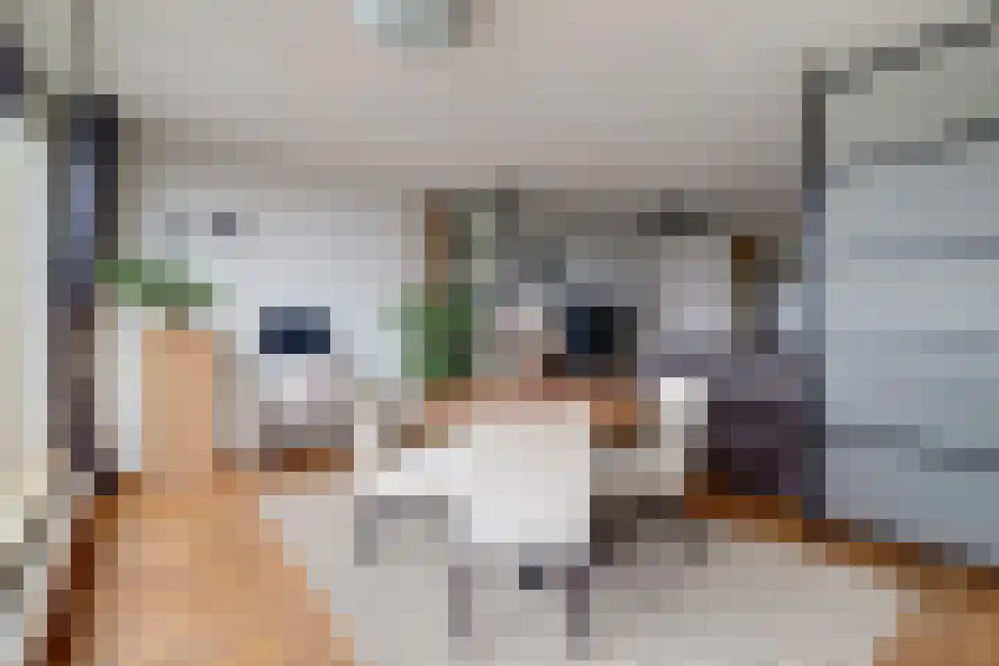 Edendreef 64 Ede thumbnail 21