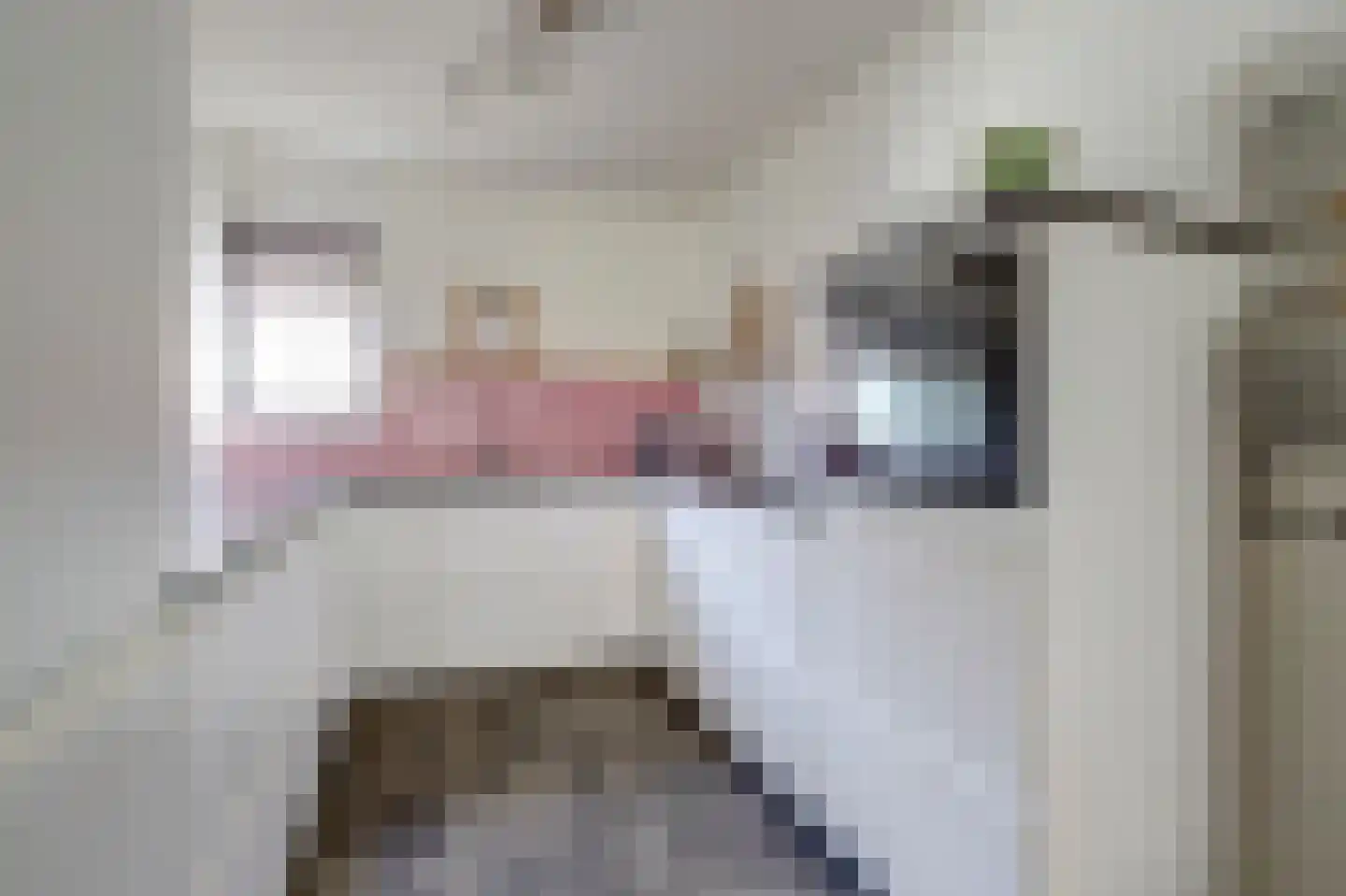 Edendreef 64 Ede thumbnail 26