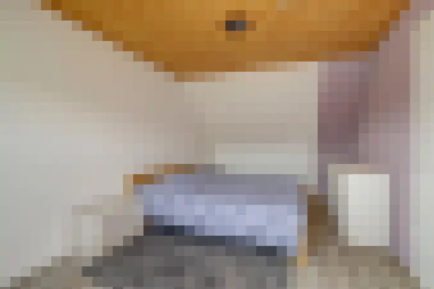 Edendreef 64 Ede thumbnail 46