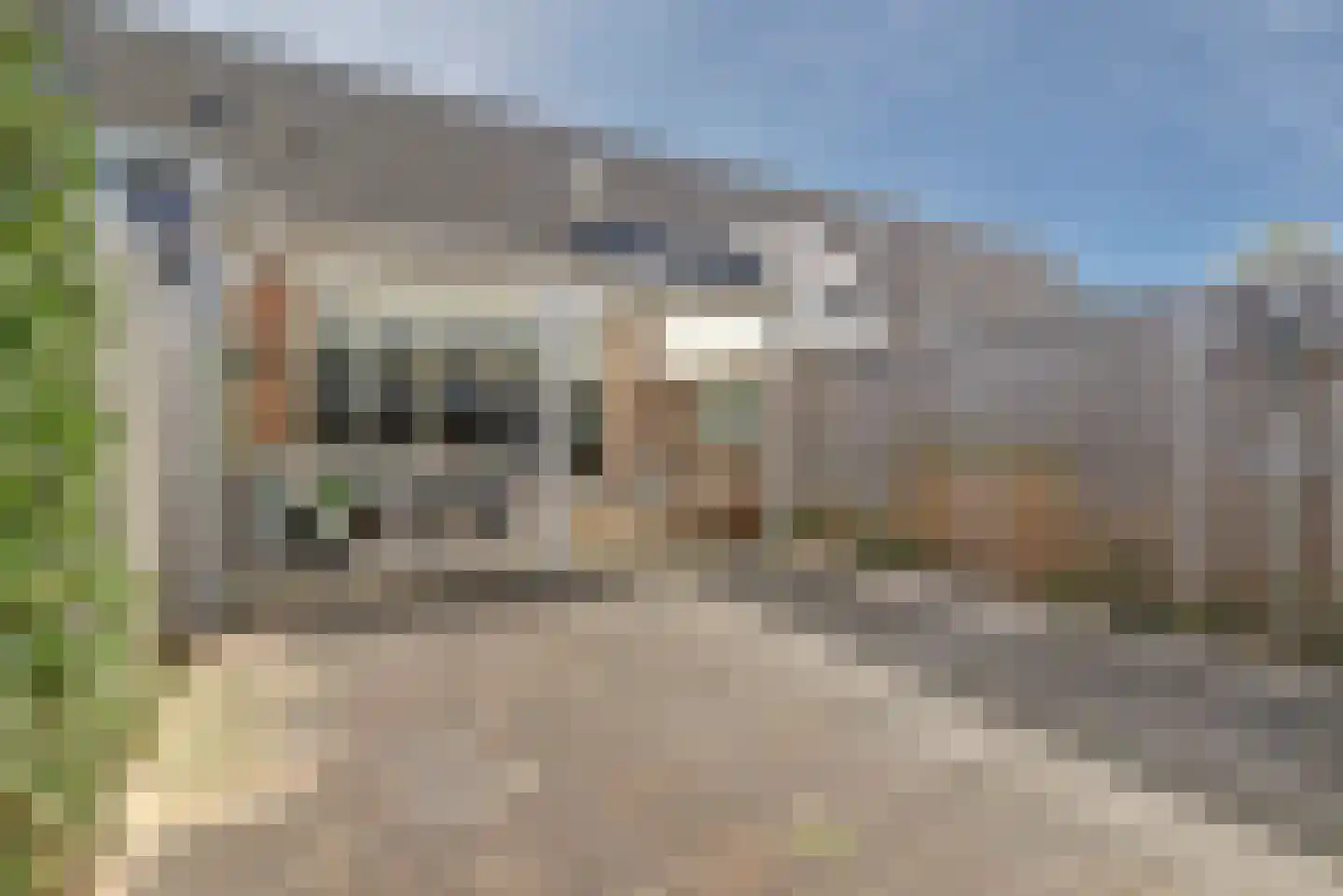 Edendreef 64 Ede thumbnail 5
