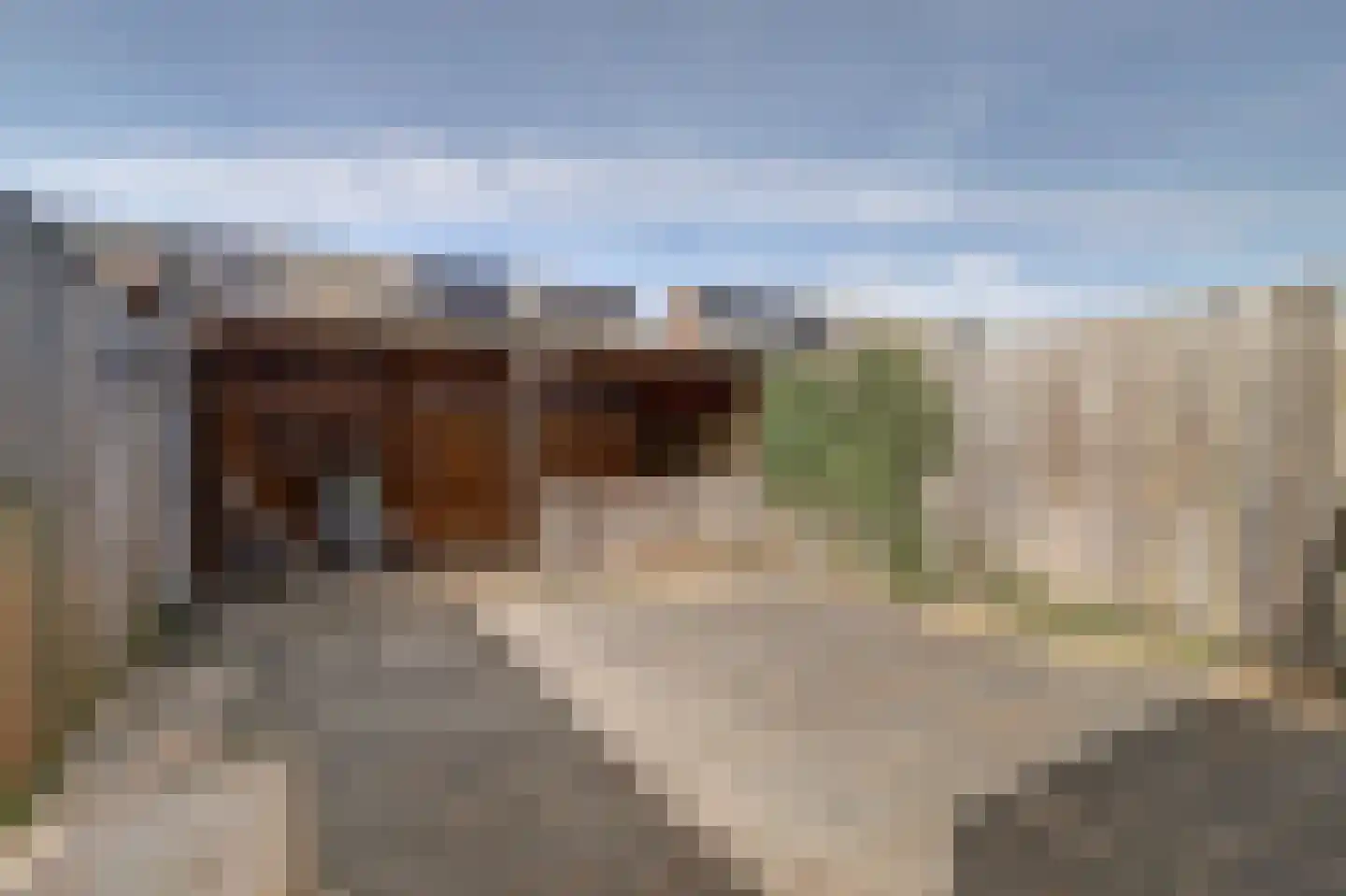 Edendreef 64 Ede thumbnail 53