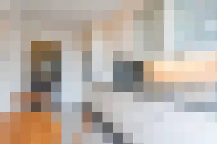 Edenstraat 104 Eindhoven thumbnail 21