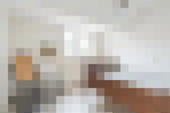 Edenstraat 104 Eindhoven thumbnail 34