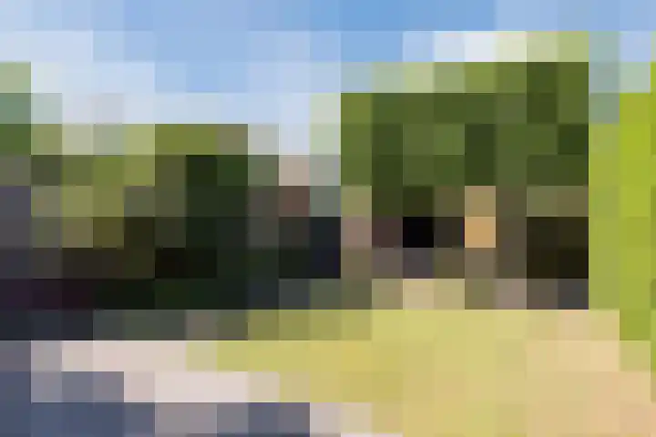 Edenstraat 104 Eindhoven thumbnail 41