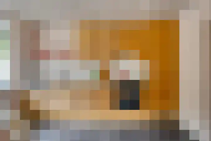 Edenstraat 39 Eindhoven thumbnail 14