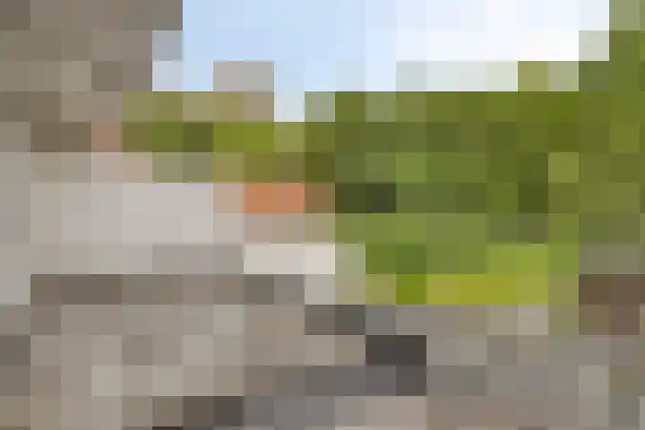 Edenstraat 39 Eindhoven thumbnail 24