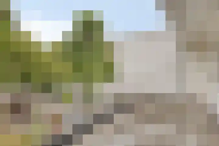 Edenstraat 39 Eindhoven thumbnail 25
