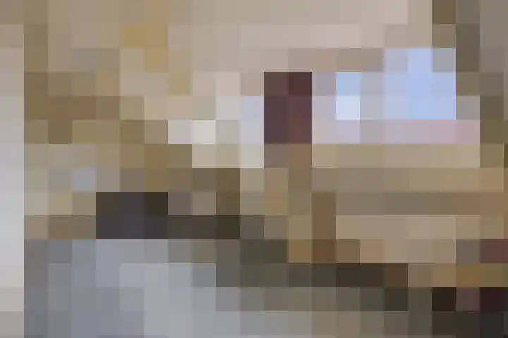 Edenstraat 39 Eindhoven thumbnail 33