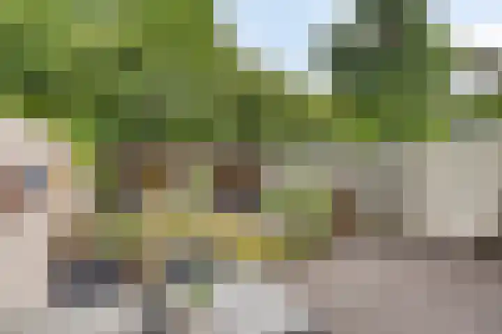 Edenstraat 39 Eindhoven thumbnail 34