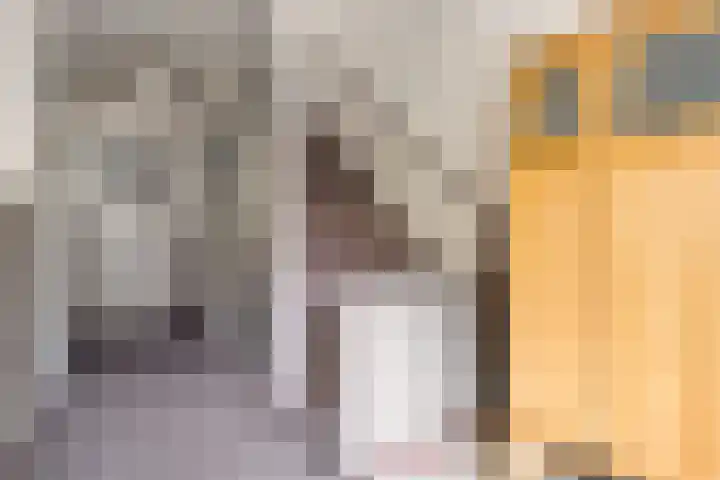 Edenstraat 39 Eindhoven thumbnail 5