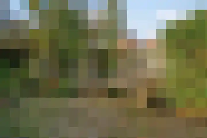 Edenstraat 70 Eindhoven thumbnail 32