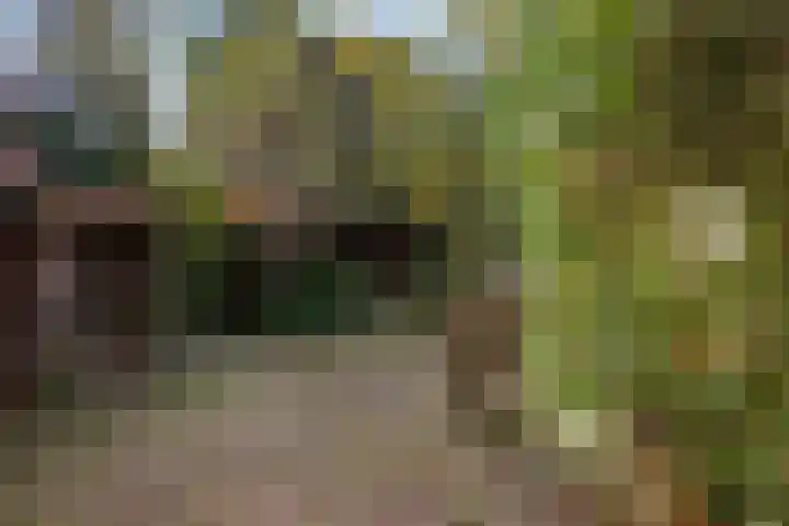 Edenstraat 70 Eindhoven thumbnail 34