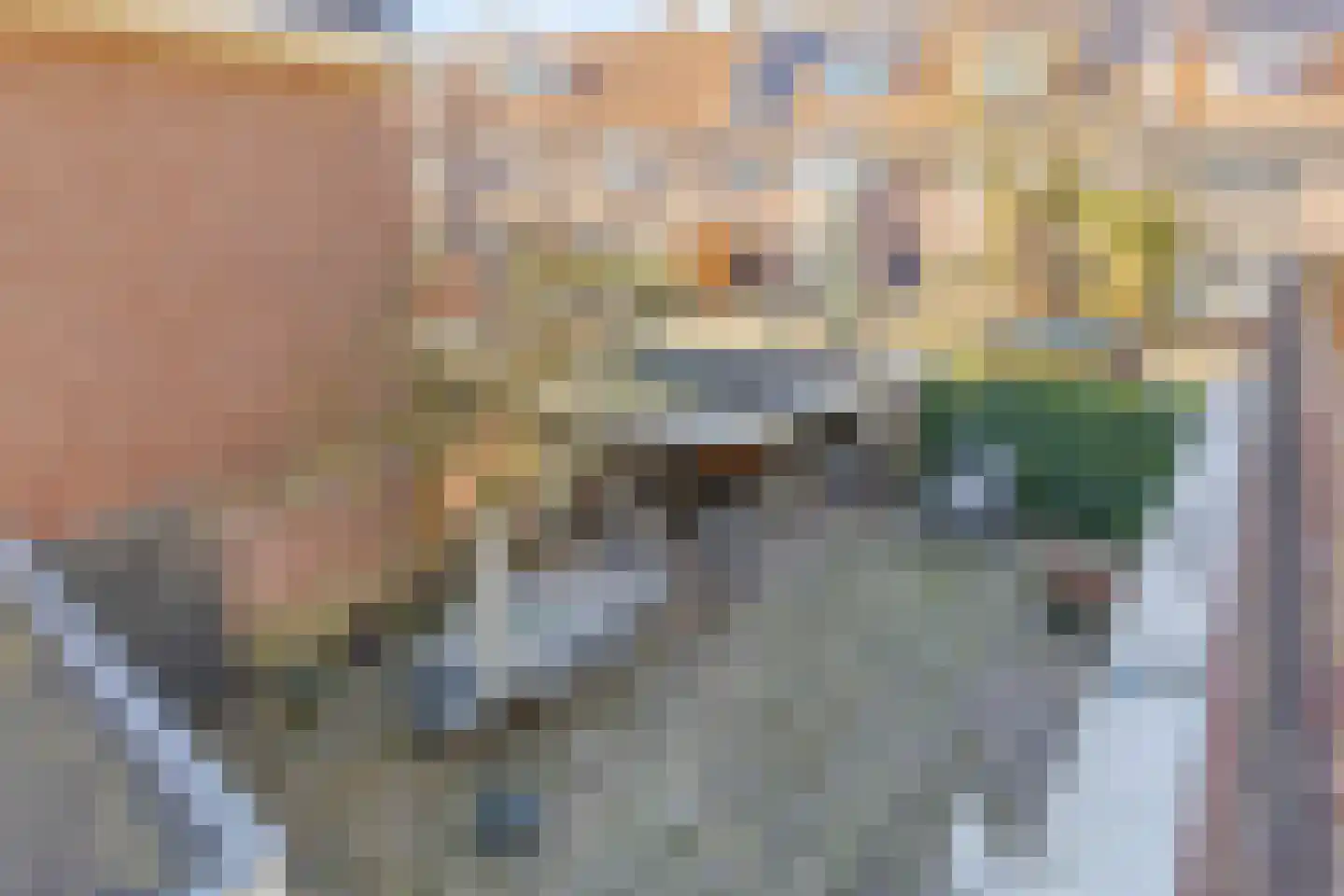Edenstraat 90 Eindhoven thumbnail 32