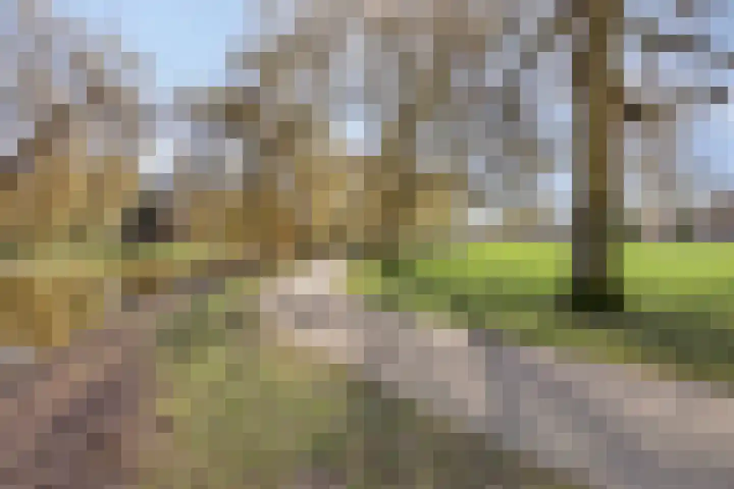 Edenstraat 90 Eindhoven thumbnail 58