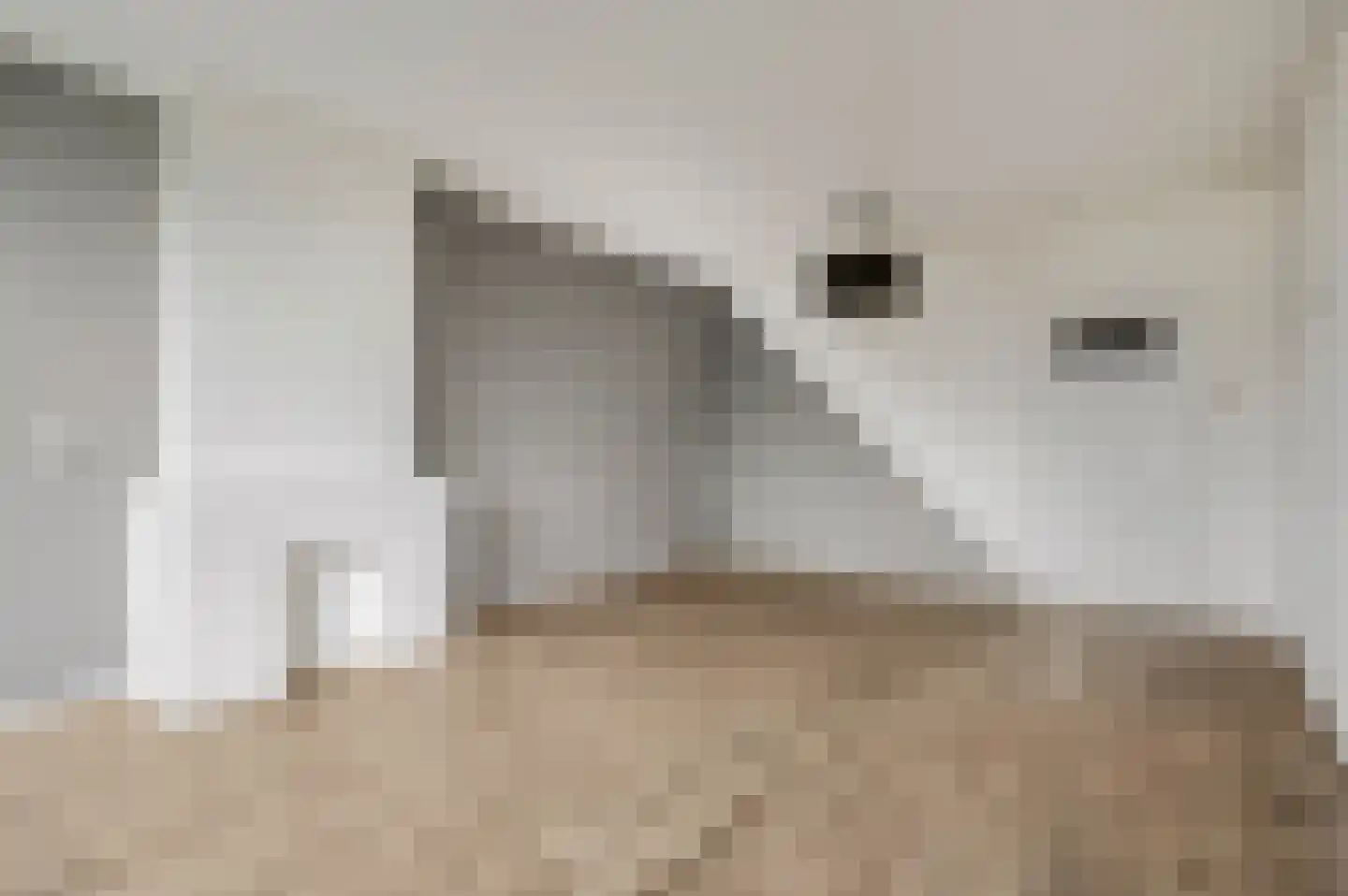 Edeseweg 100 1 Bennekom thumbnail 10