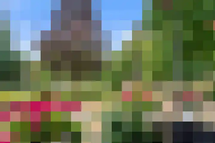 Edeseweg 106 Bennekom thumbnail 24