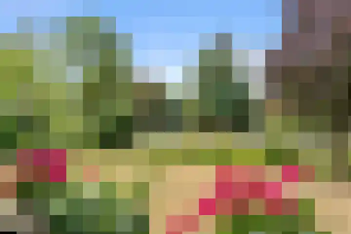 Edeseweg 106 Bennekom thumbnail 25