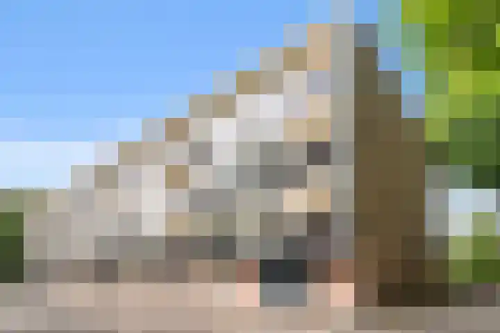 Edeseweg 106 Bennekom thumbnail 6